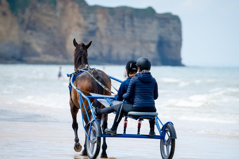 Omaha Beach: Sulky-dopet på stranden