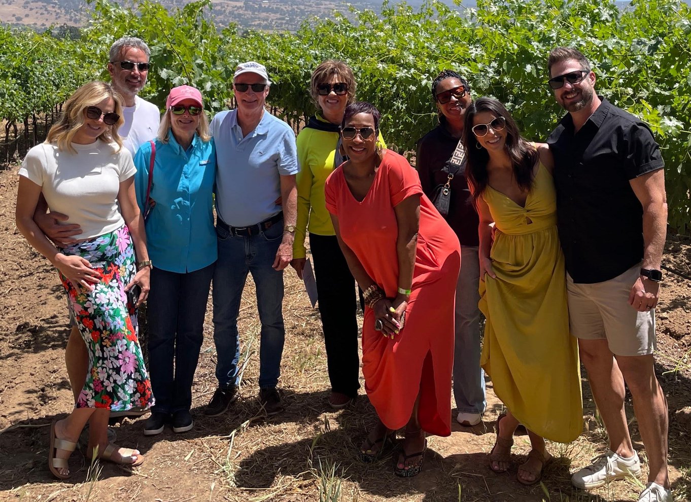 Napa Valley: guidet vintur med picnicfrokost