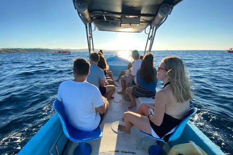 Puerto Escondido: Bootstour zu Delfinen und MeerestierenPrivate Tour