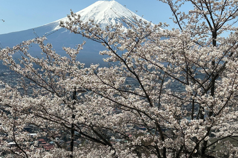 Mt. Fuji & Hakone Private Tour T/F Tokyo, Yokohama up to 12 From Yokohama to Tokyo up to 10