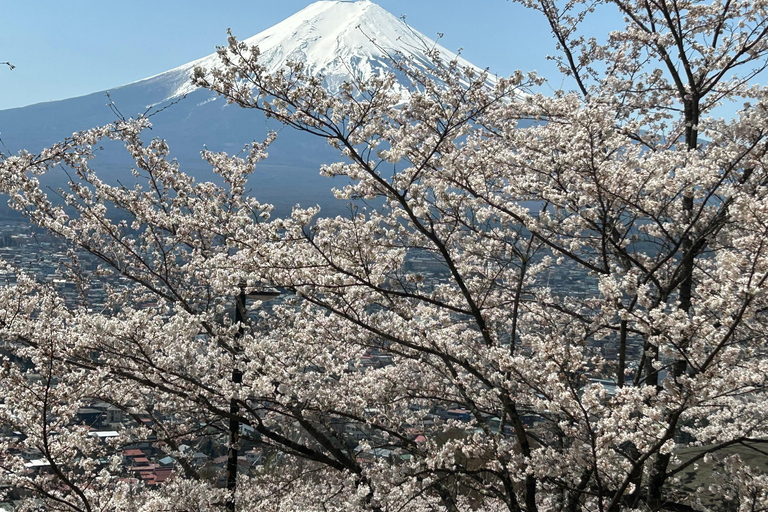 Mt. Fuji & Hakone Private Tour T/F Tokyo, Yokohama up to 12 From Yokohama to Tokyo up to 10