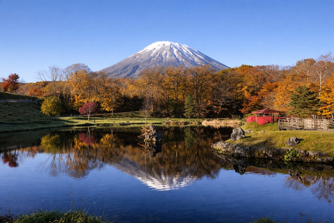 Hokkaido: Noboribetsu Hell Valley & Lake Toya Day Trip No Lunch