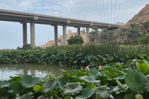 Muscat: Wadi Shab Hike and Bimmah Sinkhole Tour with Lunch Muscat: Wadi Shab Hike and Bimmah Sinkhole Tour with Lunch