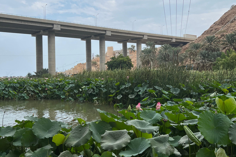 Muscat: Wadi Shab Hike and Bimmah Sinkhole Tour with Lunch Muscat: Wadi Shab Hike and Bimmah Sinkhole Tour with Lunch