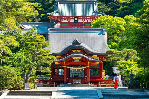 From Tokyo : Kamakura & Enoshima Island Private Day Trip