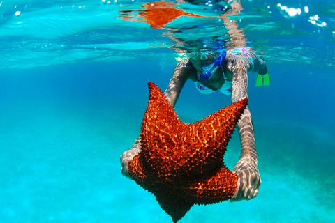 Tour dell&#039;isola di Saona di un giorno intero da Punta Cana