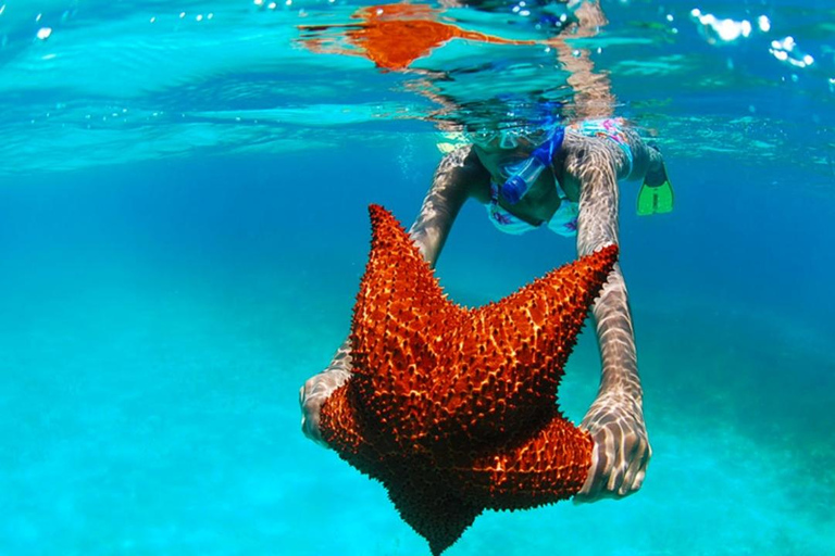 Tour de día completo a la Isla Saona desde Punta Cana