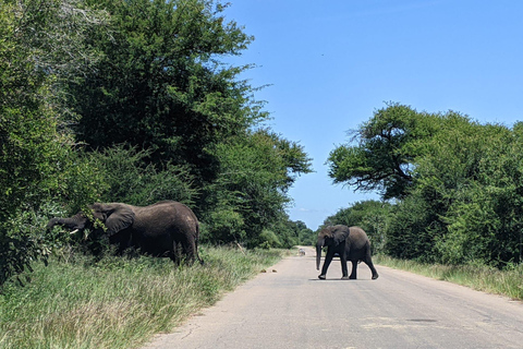 Safari nel Parco Kruger e itinerario panoramico di 3 giorni