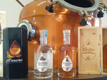 Tempio Pausania: Visit a Distillates Workshop with Tasting