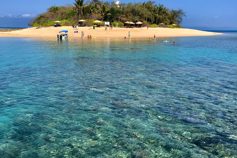 Port Douglas:Half Day Low Island and Lagoon Snorkelling Tour