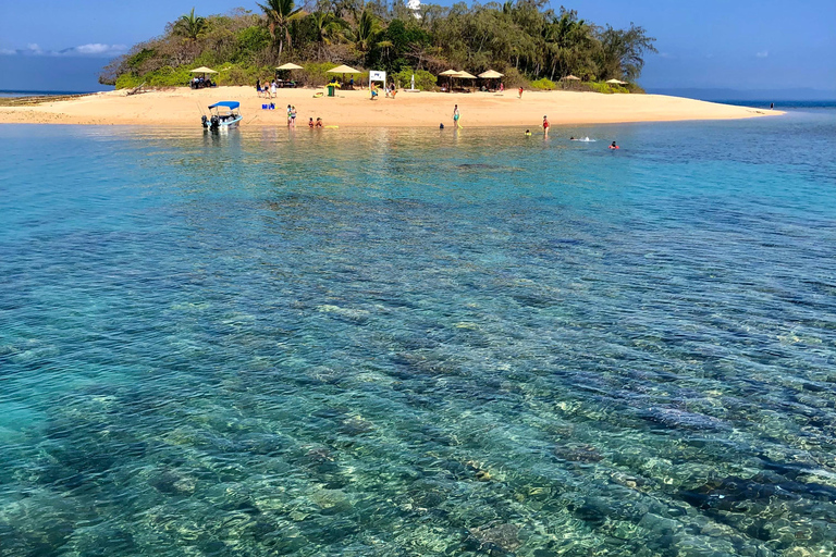 Port Douglas:Half Day Low Island and Lagoon Snorkelling Tour