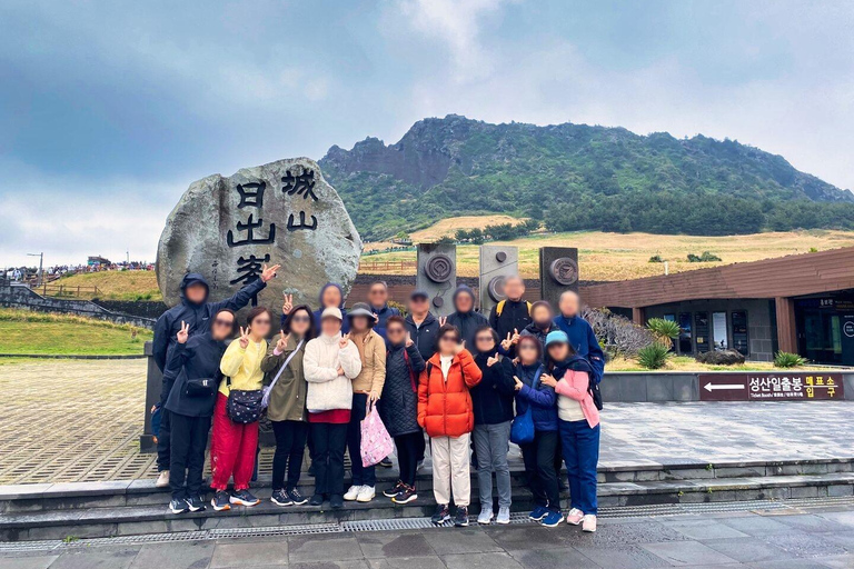 EAST JEJU: Tour particular com tudo incluído e colheita de tangerinas