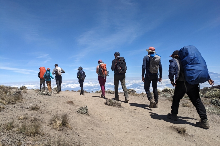 Kilimanjaro Trekking: 8 Tage Lemosho - NASONGA EXPEDITION