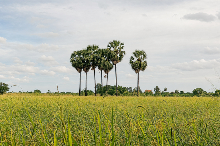 Phnom Penh: Silk Island & Countryside by Tuk Tuk with Snack