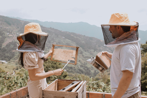MEDELLÍN: Beekeeping Experience in coffee farm