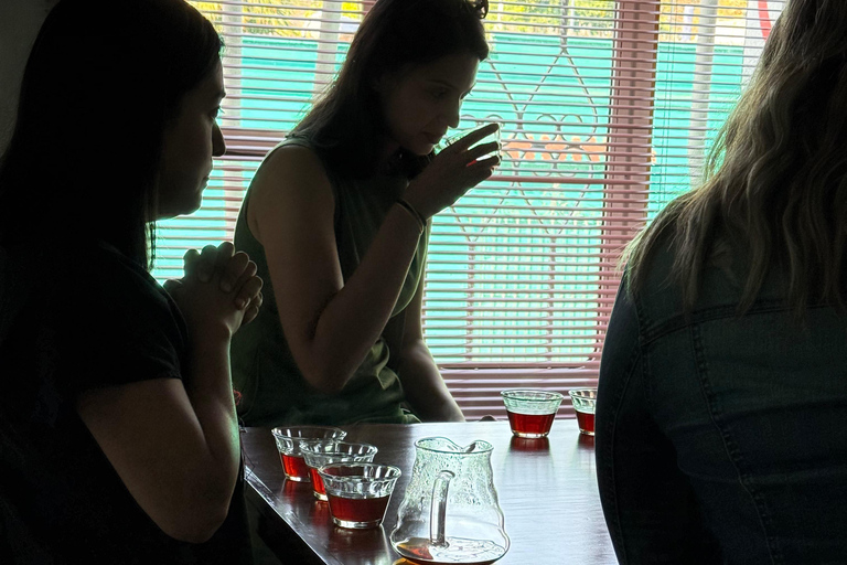 Downtown Oaxaca: Tasting of 10 mezcals and palenques