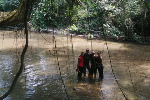 Excursión de 4 días por la selva Expedición Amazonia Todo Incluido