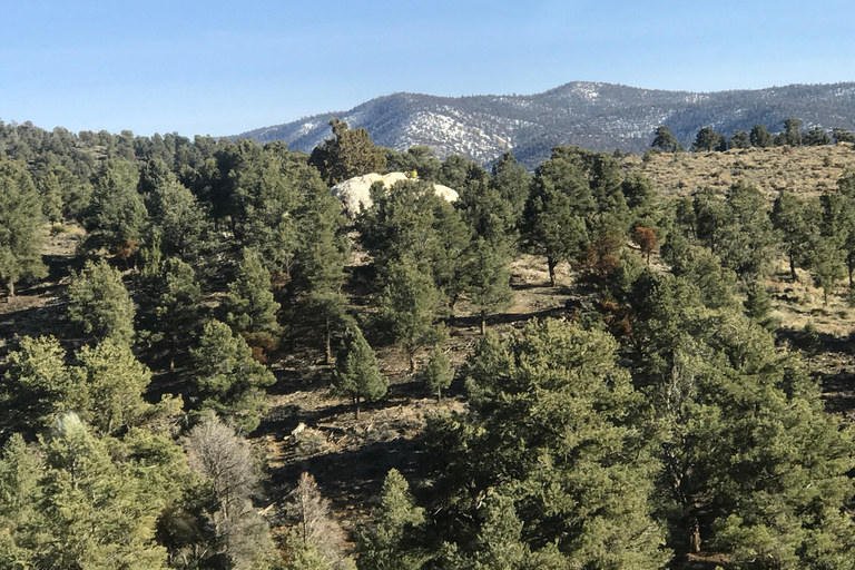 Big Bear Meditation Hike