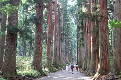 Tokyo: Kamakura Full-Day Private Tour With Best Itinerary