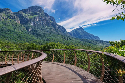 Le Cap : billet d&#039;entrée au jardin botanique de Kirstenbosch