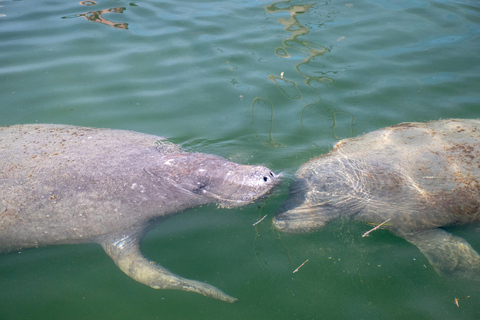 Key West: prywatny czarter łodzi z kapitanemKey West: Prywatny czarter łodzi z kapitanem