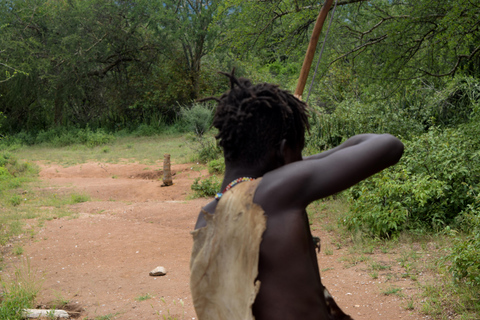 Tarangire-Nationalpark &amp; Eyasi-See (Datoga- &amp; Hadzabe-Dörfer)Premium Lodge im Tarangire-Nationalpark