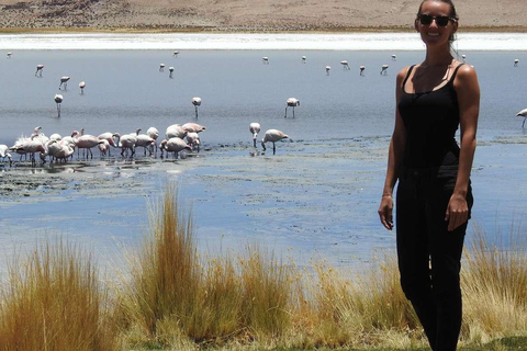 Von San Pedro de Atacama: 3-tägige Tour durch die Uyuni Salt Flats