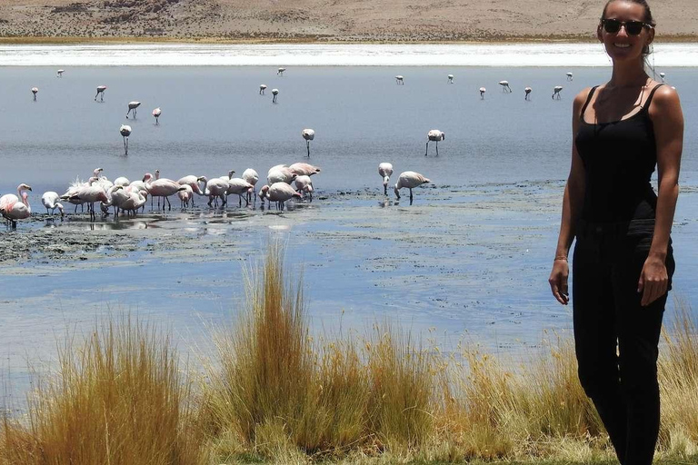 Da San Pedro de Atacama: Tour di 3 giorni delle Saline di Uyuni