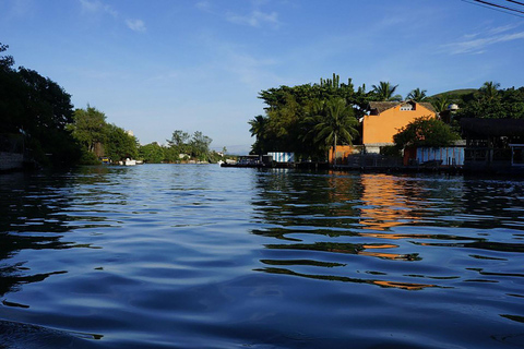 Rio de Janeiro: Ilha da Gigóia Canals and Wildlife Tour