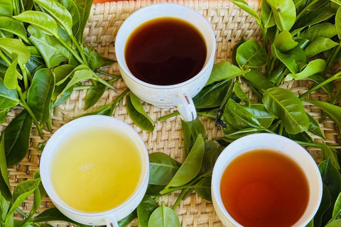 ELLA : Tea-Making Experience Tour with Tasting and Snacks