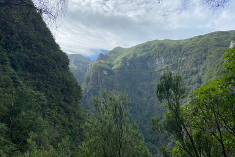 Madera: Wędrówka Levada do Caldeirão Verde z odbiorem lokalnym