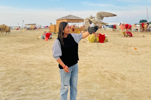 Doha: Desde la terminal de cruceros Safari por el desierto y tour de la ciudad Día completo