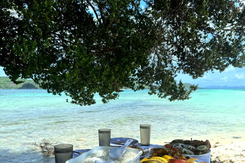 El Nido: Farm Tour, Snorkeling, Dinner, and Nipa Hut Stay