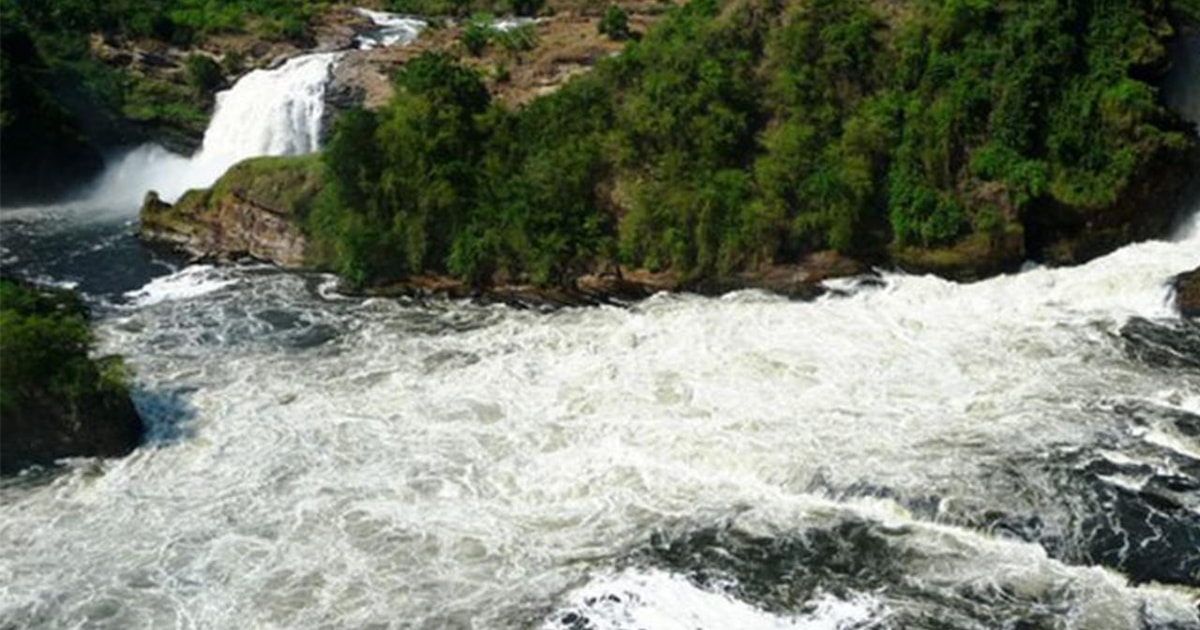 Uganda T Gige Murchison Falls Und Ziwa Rhino Sanctuary Tour