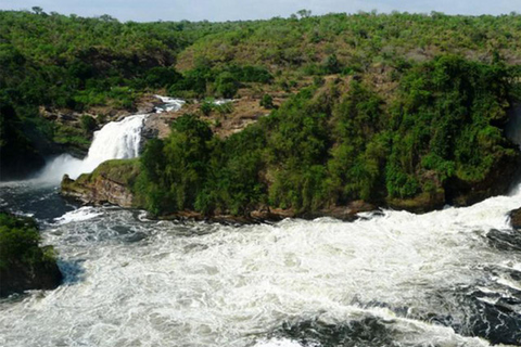 Uganda: 3-Day Murchison Falls and Ziwa Rhino Sanctuary Tour