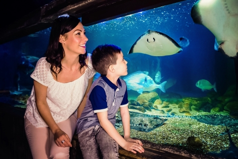 Londres : billet d'entrée pour l'aquarium SEA LIFEBillet standard