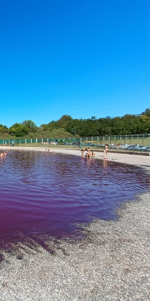 From Belgrade: Pink lake - Pacir Thermal spa | GetYourGuide