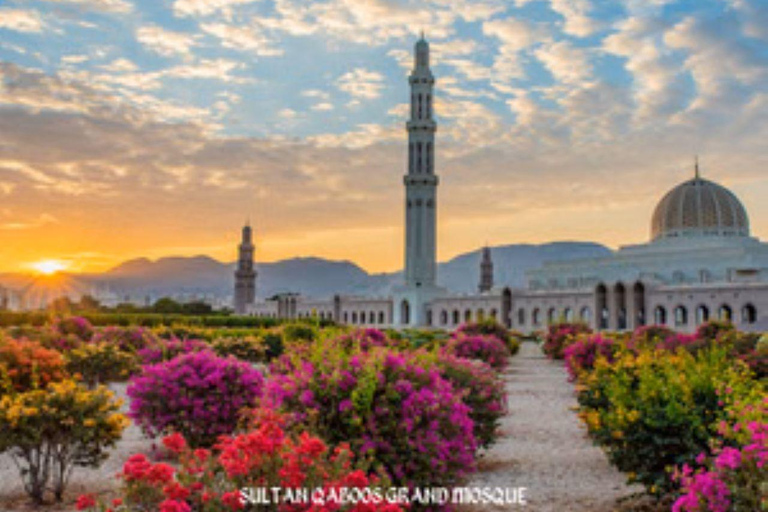 Muscat Half Day City Tour Muscat Half Day City Tour (1-3)