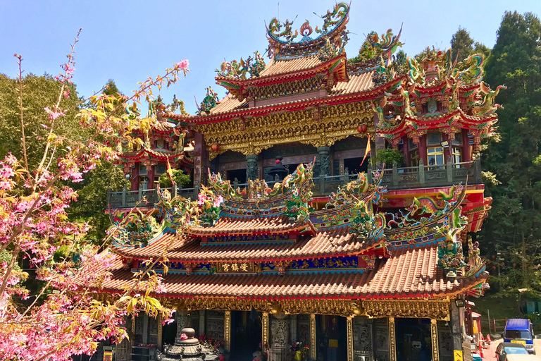 Alishan Forest Day Trip from Taichung, Kaohsiung or Chiayi Join-in Tour from Kaohsiung