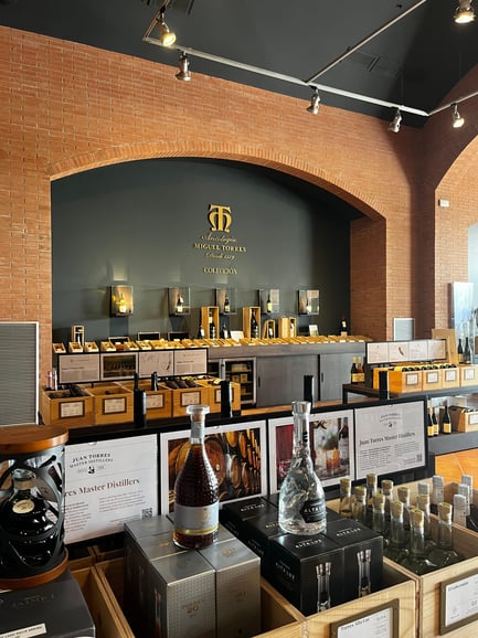 Bodegas Familia Torres: Experiencia gastronómica de tapas y vino