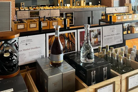 Familia Torres Winery: Gastronomic Tapas & Wine Experience