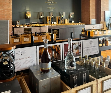 Familia Torres Winery: Gastronomic Tapas & Wine Experience