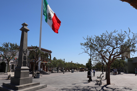 Cabo Encounter with Optional Clear Boat and Lunch