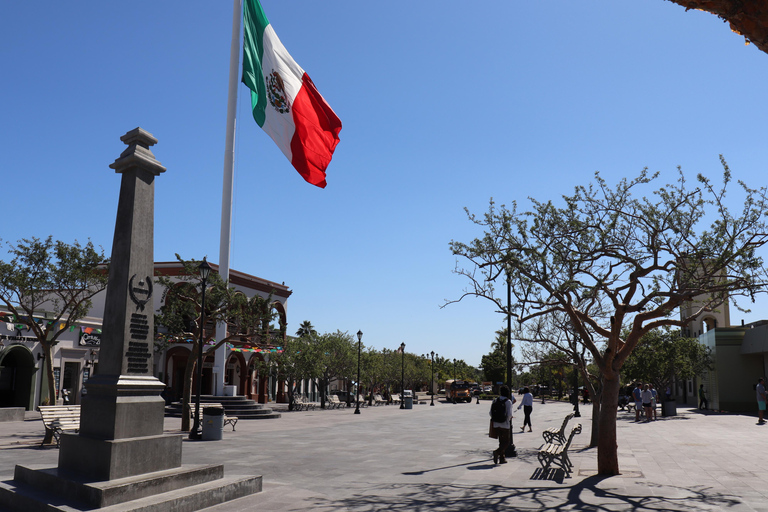 Cabo Encounter with Optional Clear Boat and Lunch