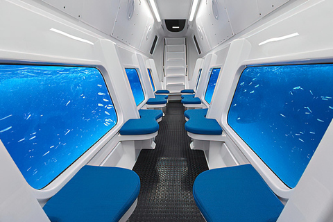 Zanzíbar:Excursión a la Granja de Especias,Experiencia submarina en el arrecife y la playaZanzíbar:Excursión a la Granja de Especias,Experiencia submarina en el arrecife y en l