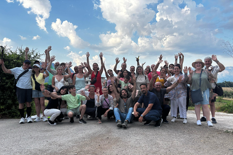 From Naples: Pompeii Shore Excursion for Cruisers with Guide From Pompeii: Guided Tour + Entry Ticket