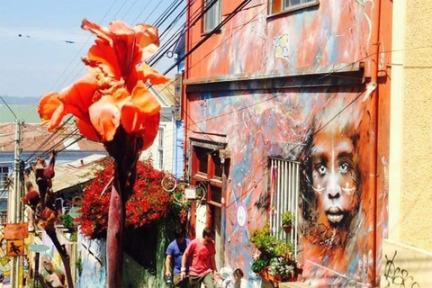 Porto di Valparaiso e Viña del Mar, degustazione di vini a Casablanca