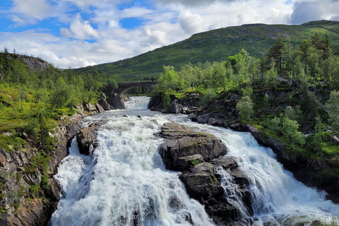 Bergen: Hardangerfjord, Vøringsfossen & Sky Bridge Adventure