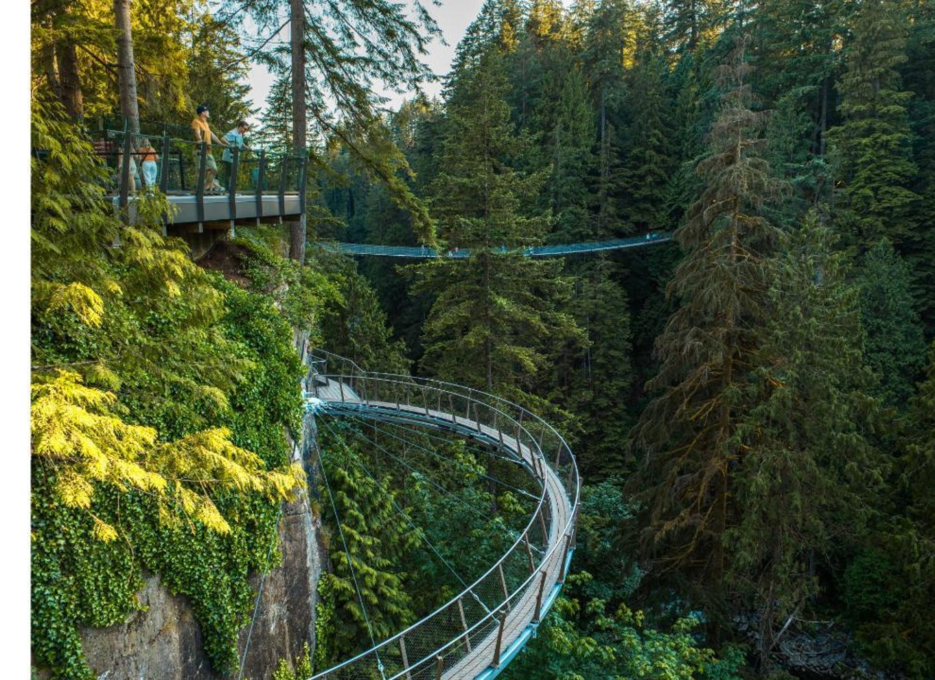 Vancouver: Capilano Suspension Bridge Park billet
