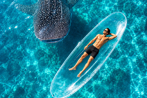 Labuan Bajo: 4-Day Sumbawa Whale Shark & Moyo with Flights Sharing Whale Shark & Moyo Island Private Tour